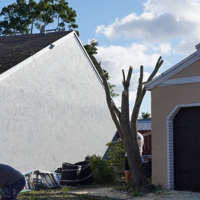 Home Depot House Project 2025